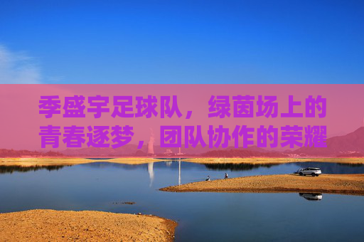 季盛宇足球队，绿茵场上的青春逐梦，团队协作的荣耀篇章，季盛宇足球队，绿茵场上的青春逐梦，团队协作的荣耀篇章