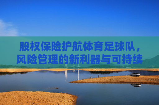 股权保险护航体育足球队，风险管理的新利器与可持续发展的安全阀，股权保险护航体育足球队，风险管理的新利器与可持续发展的安全阀