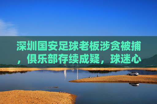 深圳国安足球老板涉贪被捕,俱乐部存续成疑,球迷心碎,行业监管引关注