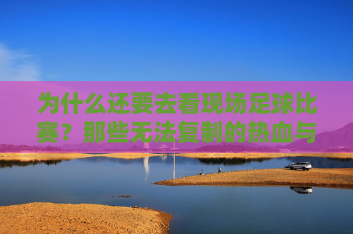 为什么还要去看现场足球比赛？那些无法复制的热血与联结，为什么还要去看现场足球比赛？那些无法复制的热血与联结