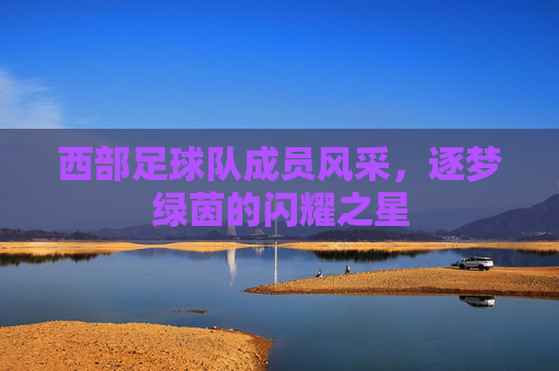 西部足球队成员风采,逐梦绿茵的闪耀之星