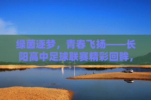 绿茵逐梦，青春飞扬——长阳高中足球联赛精彩回眸，绿茵逐梦，青春飞扬——长阳高中足球联赛精彩回眸