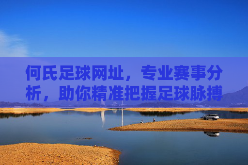 何氏足球网址,专业赛事分析,助你精准把握足球脉搏,何氏足球网址,专业赛事分析,助你精准把握足球脉搏