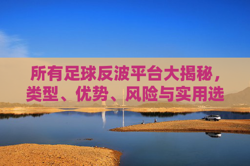 所有足球反波平台大揭秘，类型、优势、风险与实用选择指南，足球反波平台大揭秘，类型、优势、风险与实用选择指南