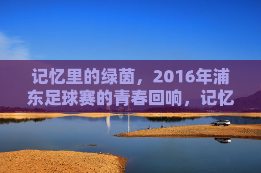 记忆里的绿茵，2016年浦东足球赛的青春回响，记忆里的绿茵，2016年浦东足球赛的青春回响