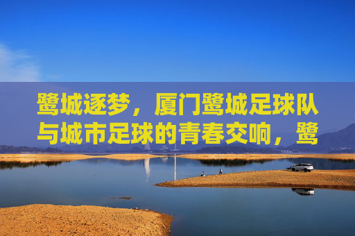 鹭城逐梦，厦门鹭城足球队与城市足球的青春交响，鹭城逐梦，厦门鹭城足球队与城市足球的青春交响