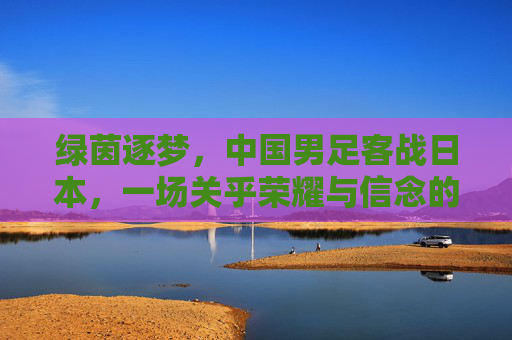 绿茵逐梦,中国男足客战日本,一场关乎荣耀与信念的硬仗,绿茵逐梦,中国男足客战日本,一场关乎荣耀与信念的硬仗