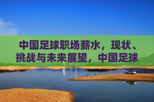 中国足球职场薪水,现状、挑战与未来展望,中国足球职场薪水,现状、挑战与未来展望