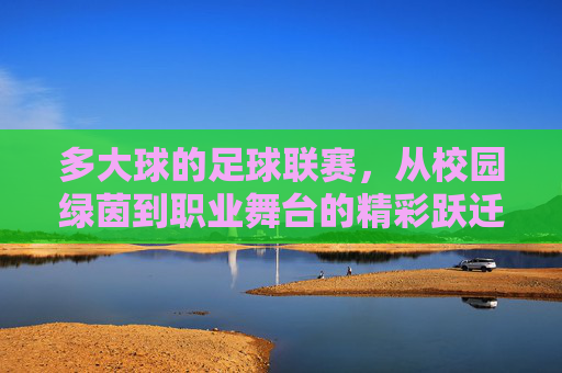 多大球的足球联赛,从校园绿茵到职业舞台的精彩跃迁,多大足球联赛,从校园绿茵到职业舞台的精彩跃迁