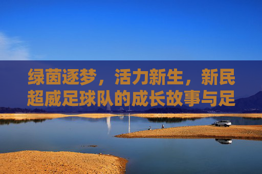 绿茵逐梦，活力新生，新民超威足球队的成长故事与足球精神，绿茵逐梦，活力新生，新民超威足球队的成长故事与足球精神