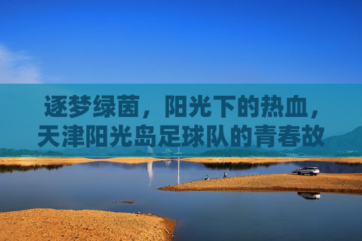 逐梦绿茵，阳光下的热血，天津阳光岛足球队的青春故事与团队荣光，逐梦绿茵，阳光下的热血，天津阳光岛足球队的青春故事与团队荣光
