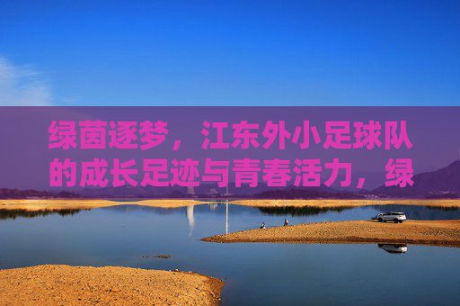 绿茵逐梦，江东外小足球队的成长足迹与青春活力，绿茵逐梦，江东外小足球队的成长足迹与青春活力