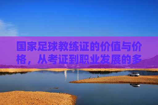 国家足球教练证的价值与价格,从考证到职业发展的多维解析,国家足球教练证的价值、价格及职业发展多维解析