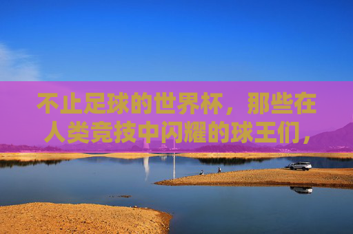 不止足球的世界杯，那些在人类竞技中闪耀的球王们，不止足球的世界杯，那些在人类竞技中闪耀的球王们