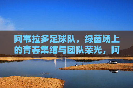 阿韦拉多足球队，绿茵场上的青春集结与团队荣光，阿韦拉多足球队，绿茵场上的青春集结与团队荣光