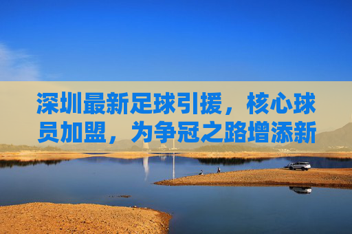 深圳最新足球引援，核心球员加盟，为争冠之路增添新动力，深圳最新足球引援，核心球员加盟，为争冠之路增添新动力