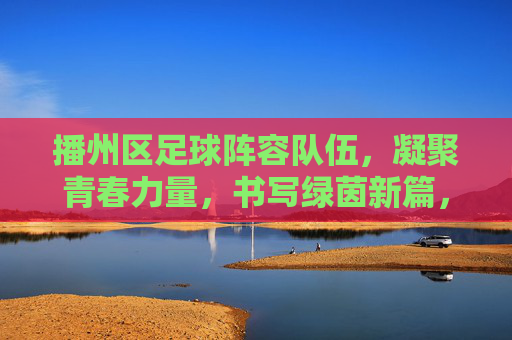 播州区足球阵容队伍，凝聚青春力量，书写绿茵新篇，播州区足球阵容队伍凝聚青春力量书写绿茵新篇