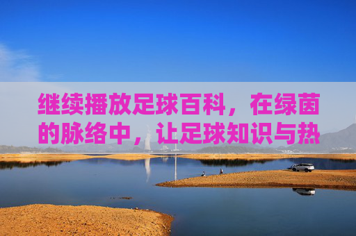 继续播放足球百科,在绿茵的脉络中,让足球知识与热爱永不止步,足球百科,在绿茵的脉络中,让足球知识与热爱永不止步