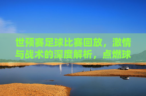 世预赛足球比赛回放，激情与战术的深度解析，点燃球迷热情与球队斗志，世预赛足球比赛回放，激情与战术深度解析，点燃球迷热情与球队斗志