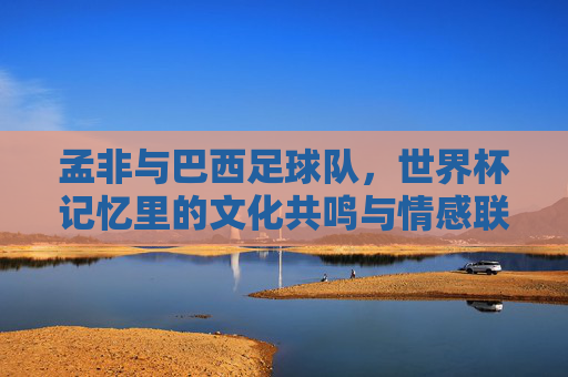 孟非与巴西足球队，世界杯记忆里的文化共鸣与情感联结，孟非与巴西足球队，世界杯记忆里的文化共鸣与情感联结