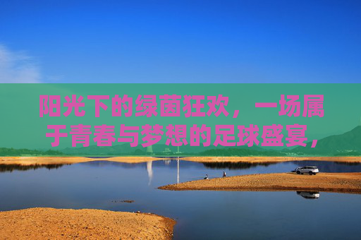 阳光下的绿茵狂欢，一场属于青春与梦想的足球盛宴，阳光下的绿茵狂欢，一场属于青春与梦想的足球盛宴