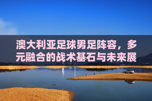 澳大利亚足球男足阵容，多元融合的战术基石与未来展望，澳大利亚足球男足阵容，多元融合的战术基石与未来展望