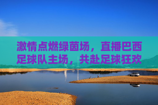 激情点燃绿茵场,直播巴西足球队主场,共赴足球狂欢盛宴,激情点燃绿茵场,直播巴西足球队主场,共赴足球狂欢盛宴
