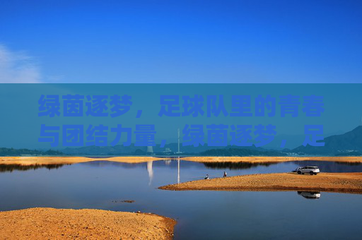 绿茵逐梦，足球队里的青春与团结力量，绿茵逐梦，足球队里的青春与团结力量