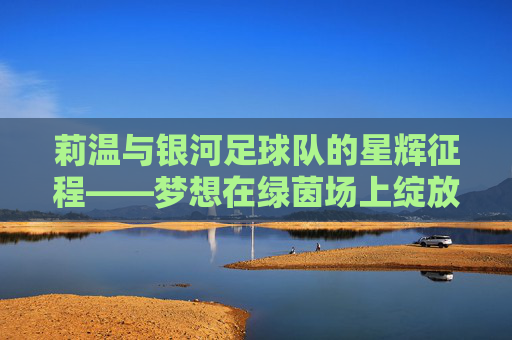 莉温与银河足球队的星辉征程——梦想在绿茵场上绽放，莉温与银河足球队的星辉征程——梦想在绿茵场上绽放