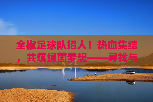 全椒足球队招人！热血集结，共筑绿茵梦想——寻找与你并肩作战的队友，全椒足球队招人，热血集结，共筑绿茵梦想，寻找与你并肩作战的队友