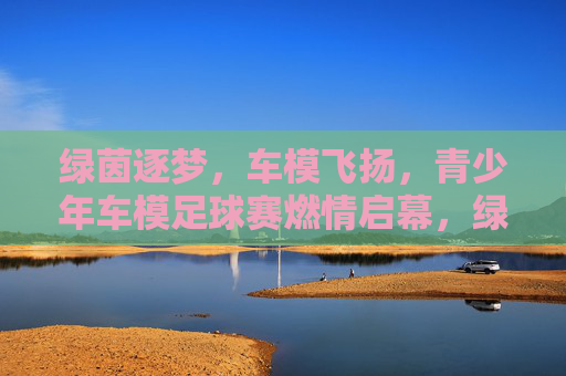 绿茵逐梦，车模飞扬，青少年车模足球赛燃情启幕，绿茵逐梦，车模飞扬，青少年车模足球赛燃情启幕