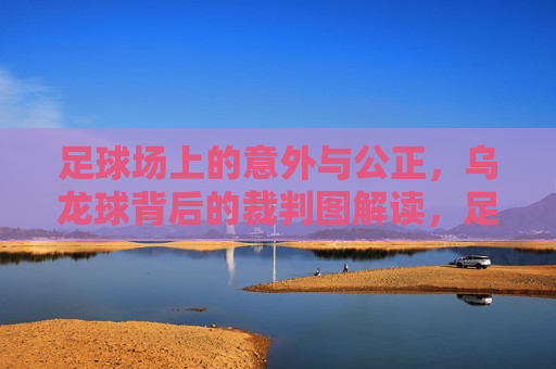 足球场上的意外与公正，乌龙球背后的裁判图解读，足球场上的意外与公正，乌龙球背后的裁判图解读