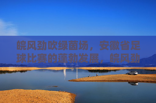 皖风劲吹绿茵场，安徽省足球比赛的蓬勃发展，皖风劲吹绿茵场，安徽省足球比赛的蓬勃发展