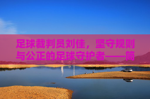 足球裁判员刘佳，坚守规则与公正的足球守护者——简历解析，足球裁判员刘佳，坚守规则与公正的足球守护者——简历解析
