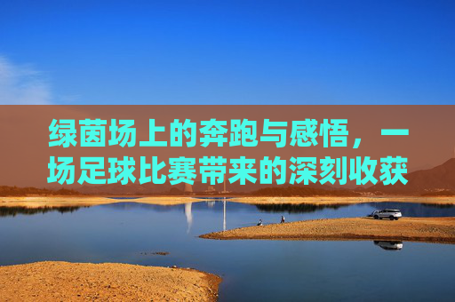 绿茵场上的奔跑与感悟,一场足球比赛带来的深刻收获,绿茵奔跑与感悟,一场足球比赛带来的深刻收获