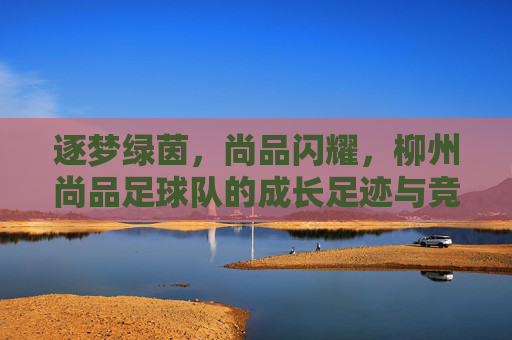 逐梦绿茵，尚品闪耀，柳州尚品足球队的成长足迹与竞技风采，逐梦绿茵，尚品闪耀，柳州尚品足球队的成长足迹与竞技风采