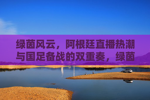 绿茵风云,阿根廷直播热潮与国足备战的双重奏,绿茵风云,阿根廷直播热潮与国足备战的双重奏