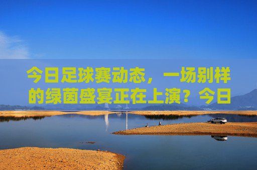 今日足球赛动态，一场别样的绿茵盛宴正在上演？今日足球赛动态，一场别样的绿茵盛宴正在上演？