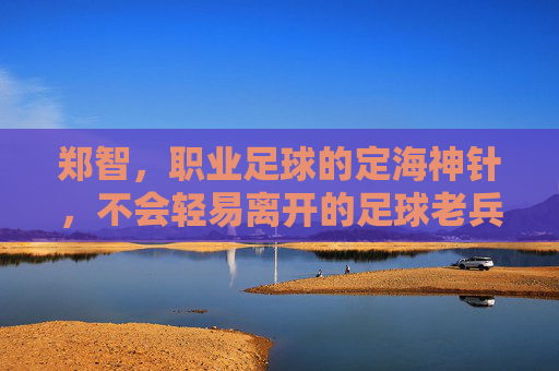 郑智,职业足球的定海神针,不会轻易离开的足球老兵