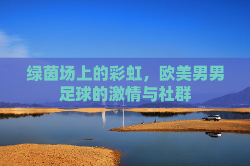 绿茵场上的彩虹,欧美男男足球的激情与社群