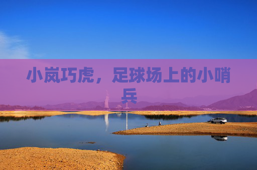 小岚巧虎,足球场上的小哨兵