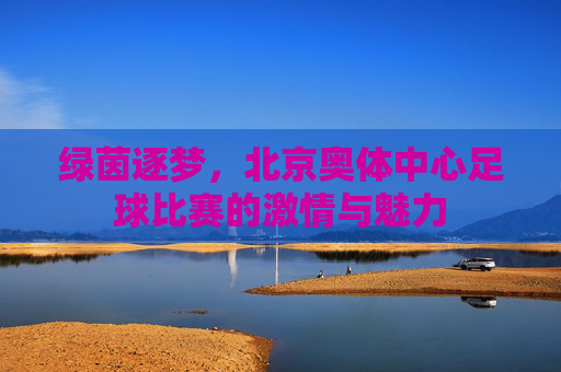 绿茵逐梦,北京奥体中心足球比赛的激情与魅力