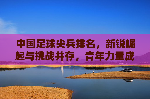 中国足球尖兵排名,新锐崛起与挑战并存,青年力量成焦点,中国足球尖兵排名,新锐崛起与挑战并存,青年力量成焦点