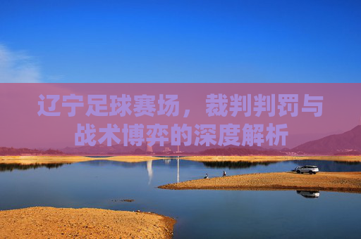 辽宁足球赛场,裁判判罚与战术博弈的深度解析