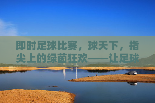 即时足球比赛,球天下,指尖上的绿茵狂欢——让足球激情随指即达,即时足球比赛,球天下,指尖上的绿茵狂欢——让足球激情随指即达
