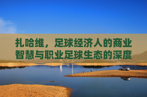 扎哈维,足球经济人的商业智慧与职业足球生态的深度链接