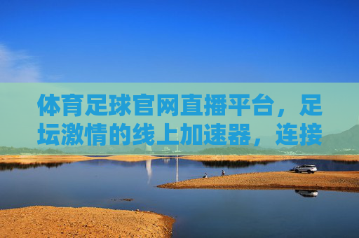 体育足球官网直播平台，足坛激情的线上加速器，连接球迷与绿茵场的数字桥梁