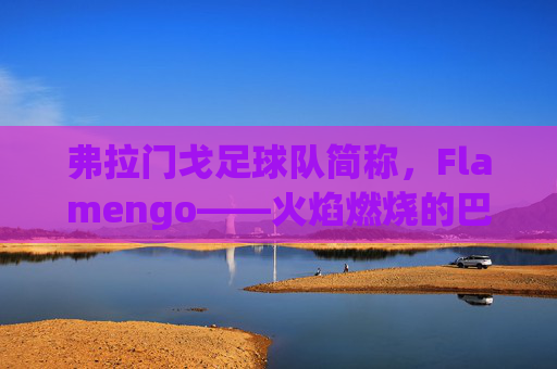 弗拉门戈足球队简称,Flamengo——火焰燃烧的巴西足坛传奇