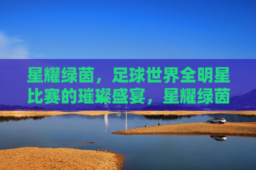 星耀绿茵,足球世界全明星比赛的璀璨盛宴,星耀绿茵,足球世界全明星比赛的璀璨盛宴
