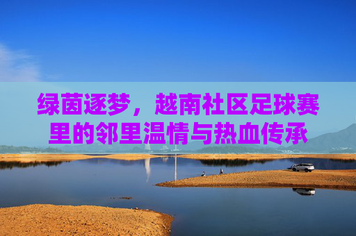绿茵逐梦,越南社区足球赛里的邻里温情与热血传承